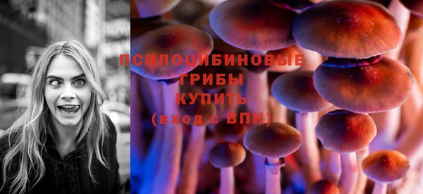 тгк Майский