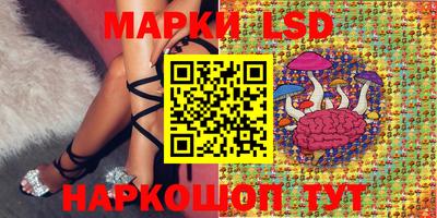 apvp Тверь