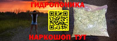 соль ск Тара