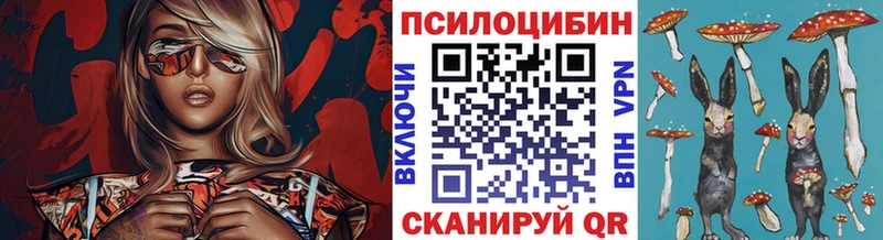 сколько стоит  Рязань  Галлюциногенные грибы MAGIC MUSHROOMS 