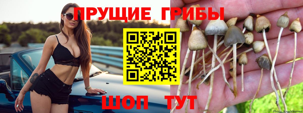 Галлюциногенные грибы Cubensis  Вход с VPN  Рязань 